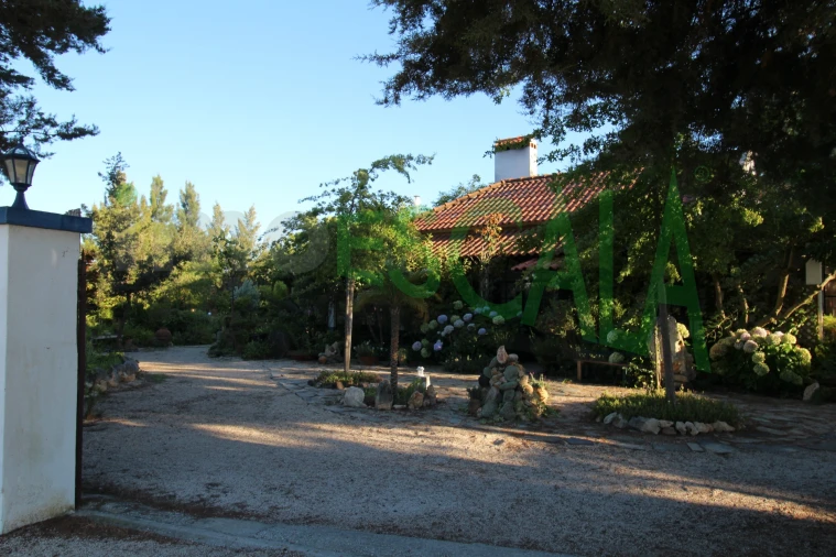Quinta T2 para Venda em Vila Chã de Ourique Foto 128