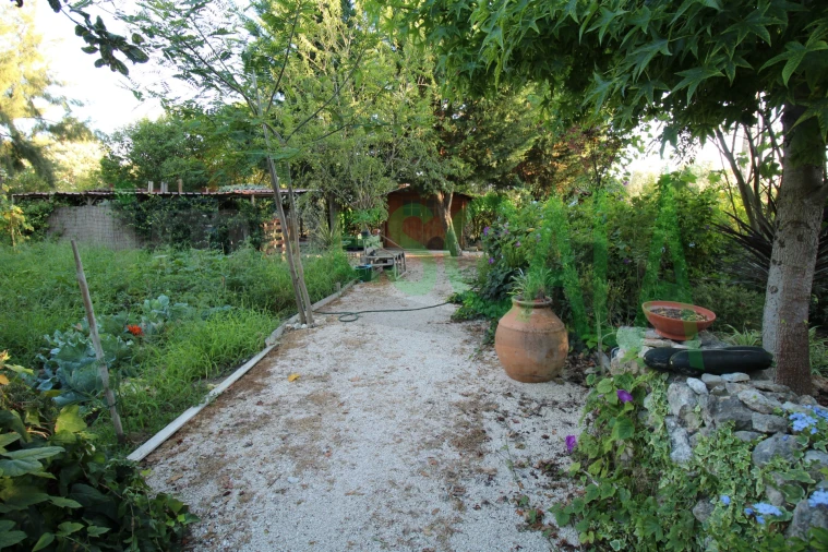 Quinta T2 para Venda em Vila Chã de Ourique Foto 124