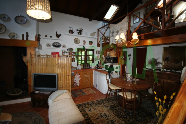 Quinta T2 para Venda em Vila Chã de Ourique Foto 51