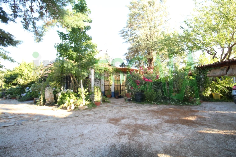 Quinta T2 para Venda em Vila Chã de Ourique Foto 65