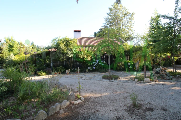 Quinta T2 para Venda em Vila Chã de Ourique Foto 6