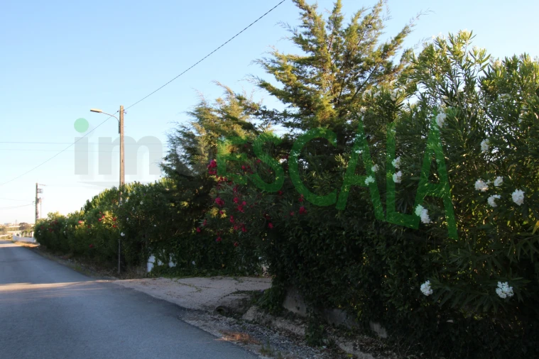 Quinta T2 para Venda em Vila Chã de Ourique Foto 142