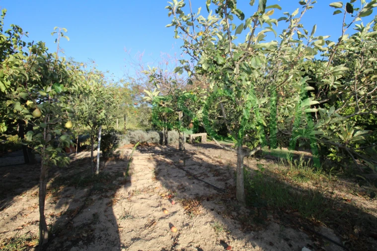Quinta T2 para Venda em Vila Chã de Ourique Foto 96