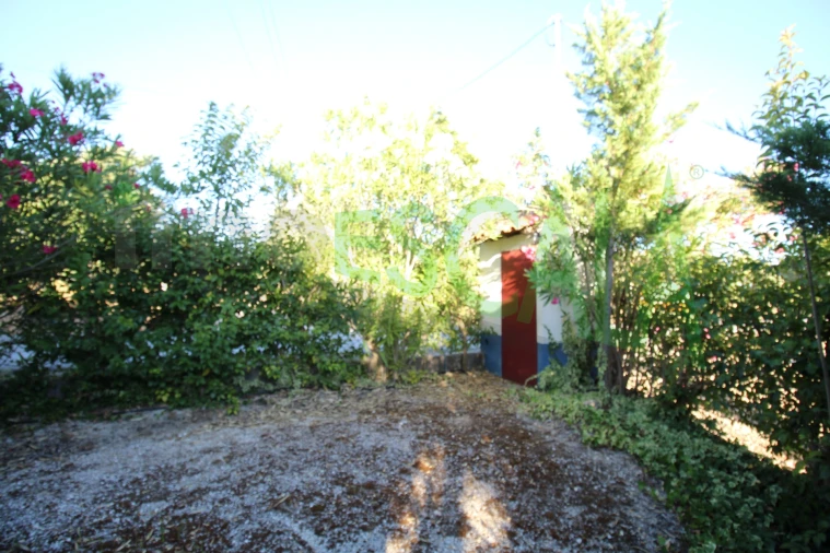 Quinta T2 para Venda em Vila Chã de Ourique Foto 106