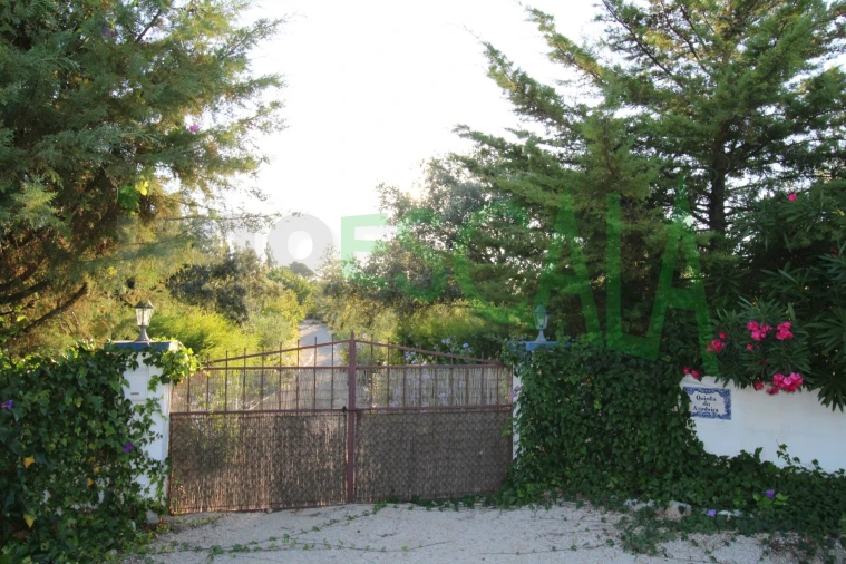 Quinta T2 para Venda em Vila Chã de Ourique Foto 143