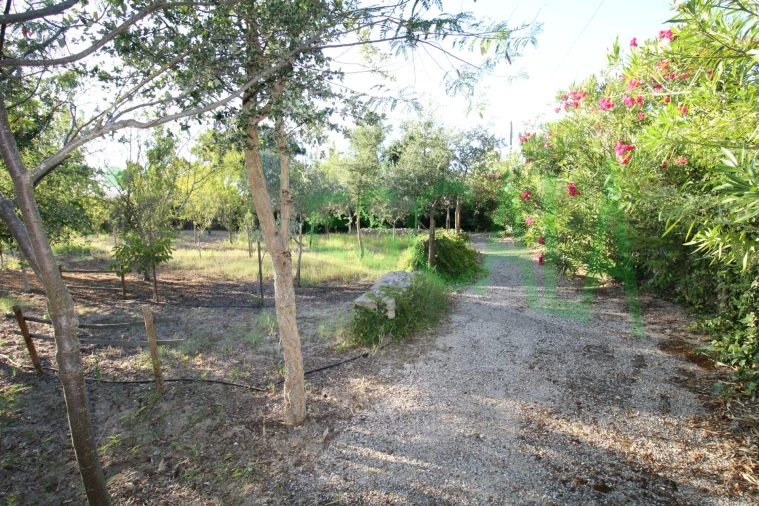 Quinta T2 para Venda em Vila Chã de Ourique Foto 111