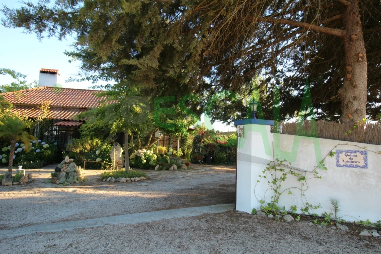 Quinta T2 para Venda em Vila Chã de Ourique Foto 134