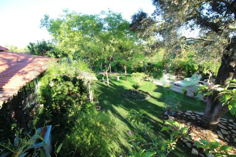 Quinta T2 para Venda em Vila Chã de Ourique Foto 71