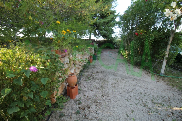 Quinta T2 para Venda em Vila Chã de Ourique Foto 85