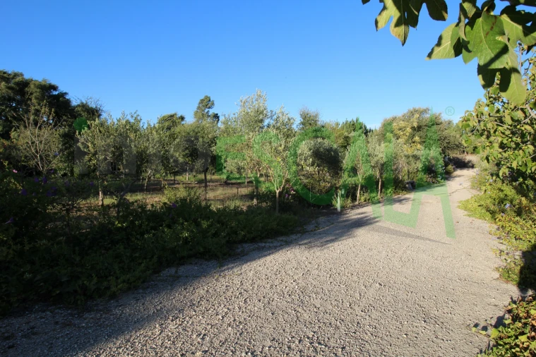 Quinta T2 para Venda em Vila Chã de Ourique Foto 101