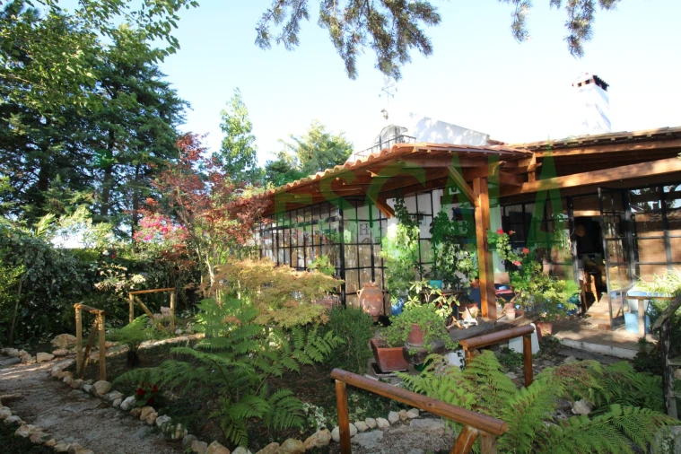 Quinta T2 para Venda em Vila Chã de Ourique Foto 31