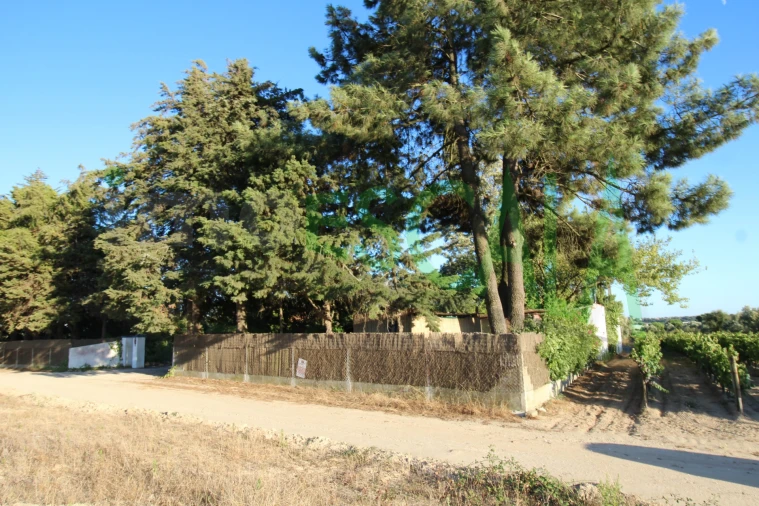 Quinta T2 para Venda em Vila Chã de Ourique Foto 135