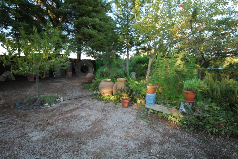 Quinta T2 para Venda em Vila Chã de Ourique Foto 125