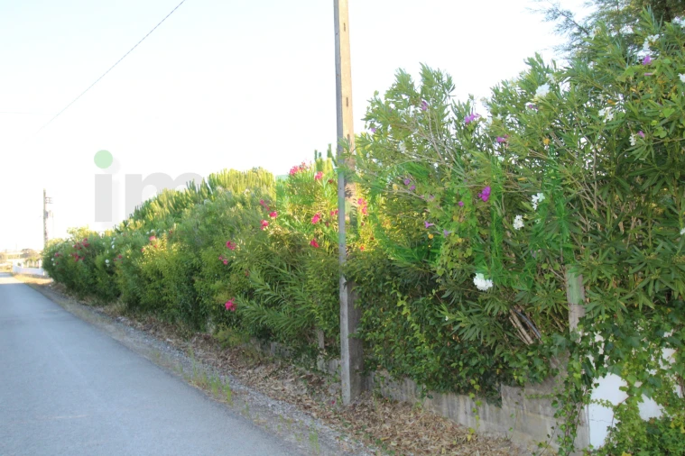 Quinta T2 para Venda em Vila Chã de Ourique Foto 144