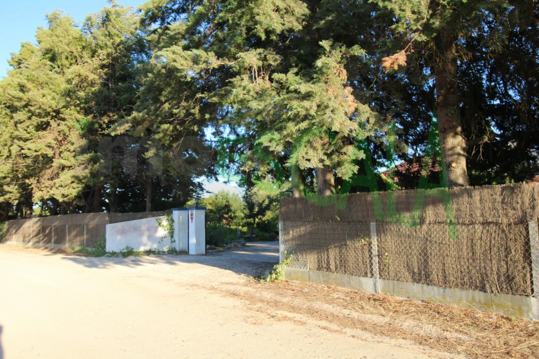 Quinta T2 para Venda em Vila Chã de Ourique Foto 139