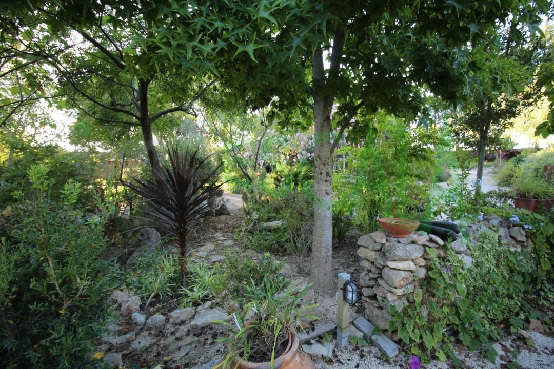 Quinta T2 para Venda em Vila Chã de Ourique Foto 84