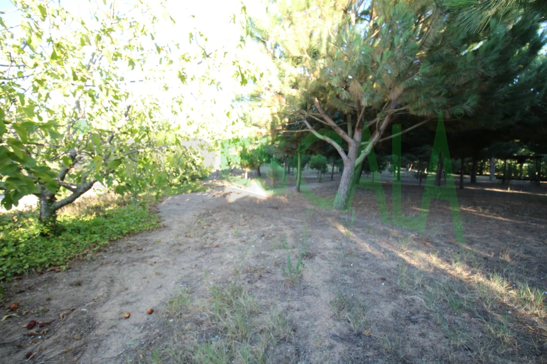 Quinta T2 para Venda em Vila Chã de Ourique Foto 103
