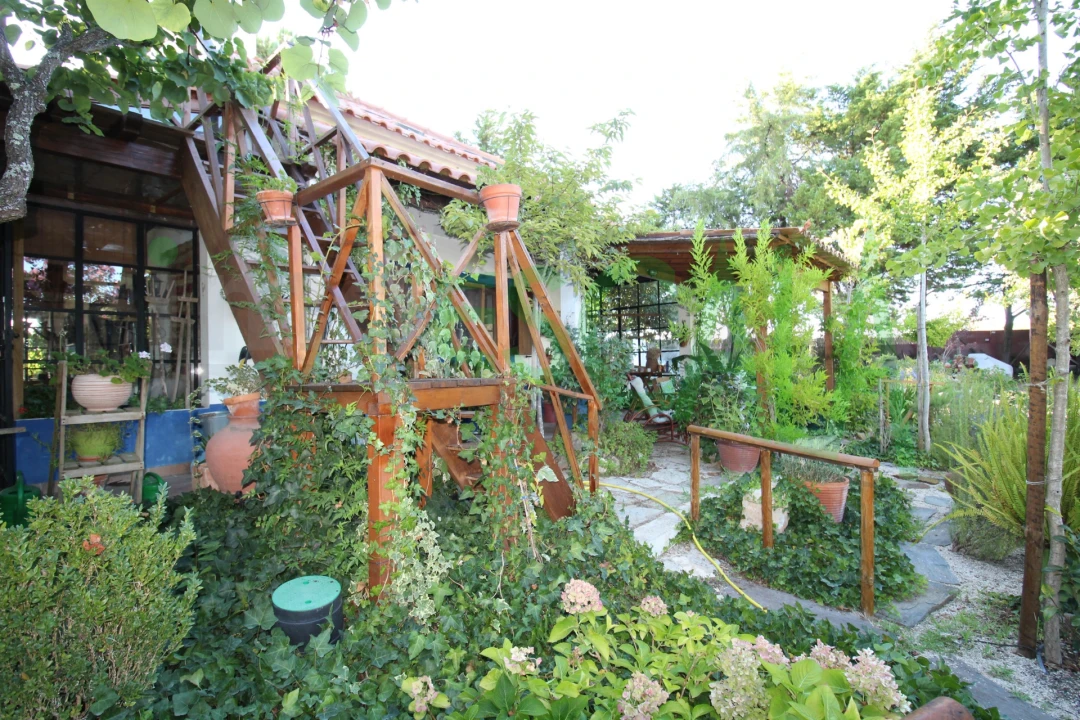 Quinta T2 para Venda em Vila Chã de Ourique Foto 17