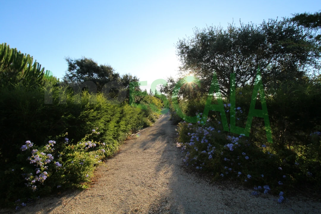 Quinta T2 para Venda em Vila Chã de Ourique Foto 147