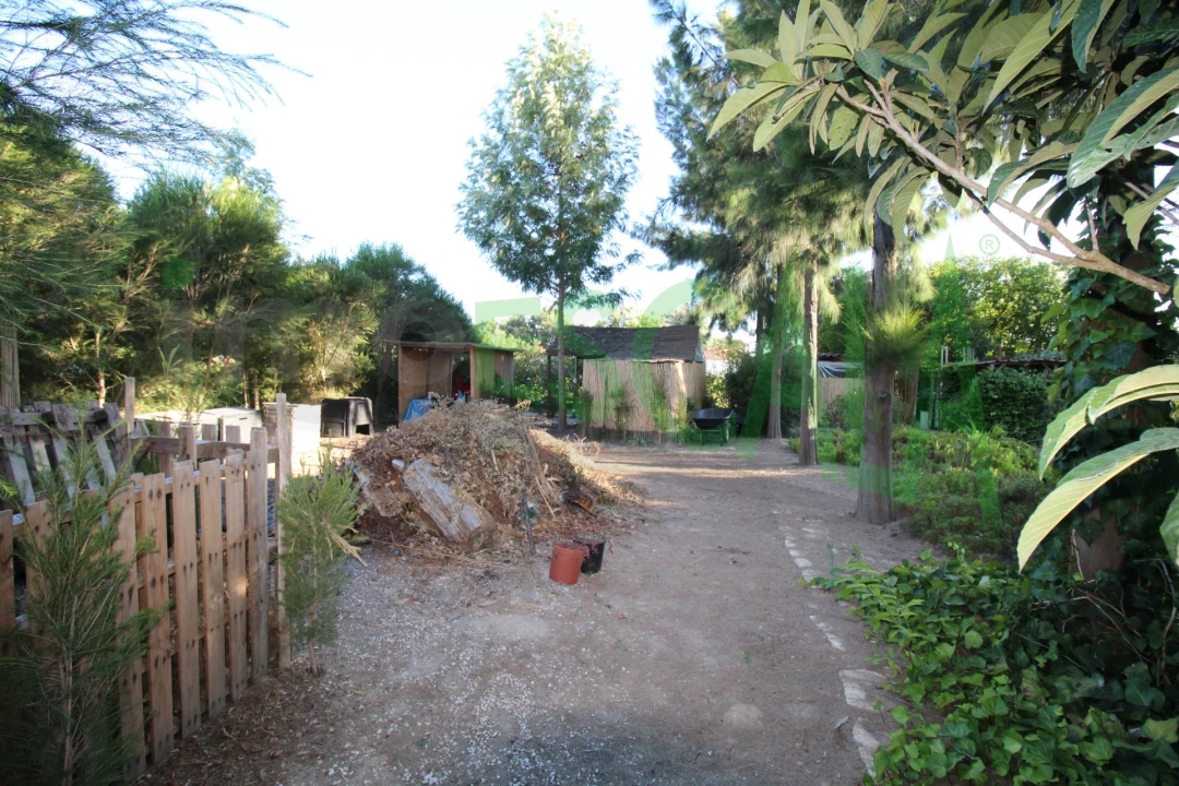 Quinta T2 para Venda em Vila Chã de Ourique Foto 94