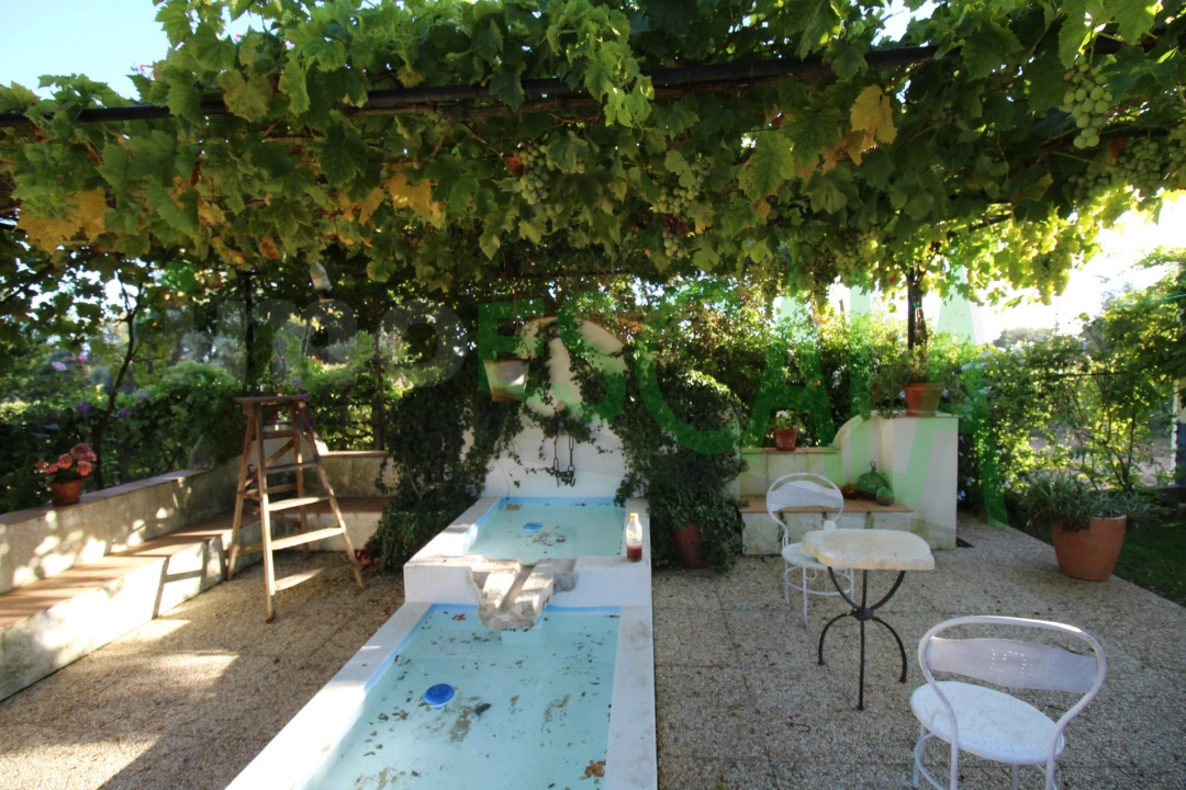 Quinta T2 para Venda em Vila Chã de Ourique Foto 79