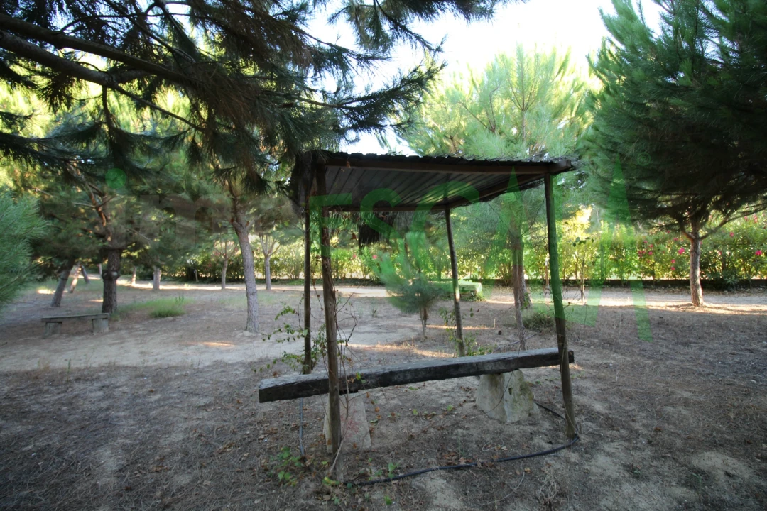 Quinta T2 para Venda em Vila Chã de Ourique Foto 105