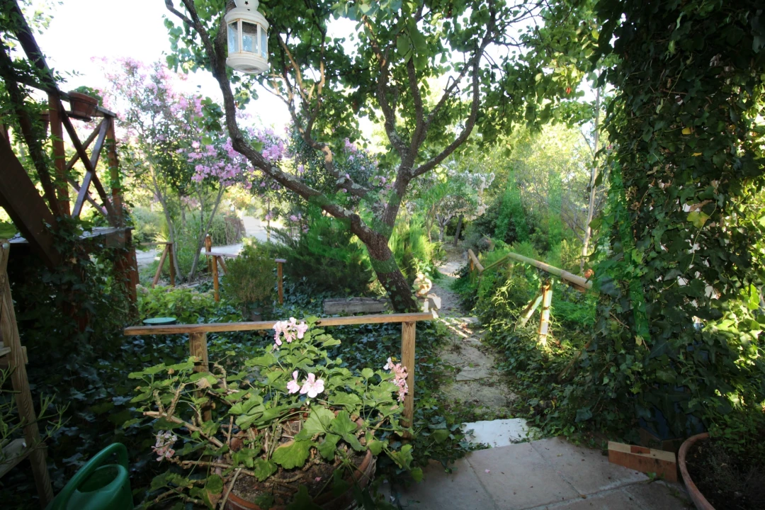 Quinta T2 para Venda em Vila Chã de Ourique Foto 25