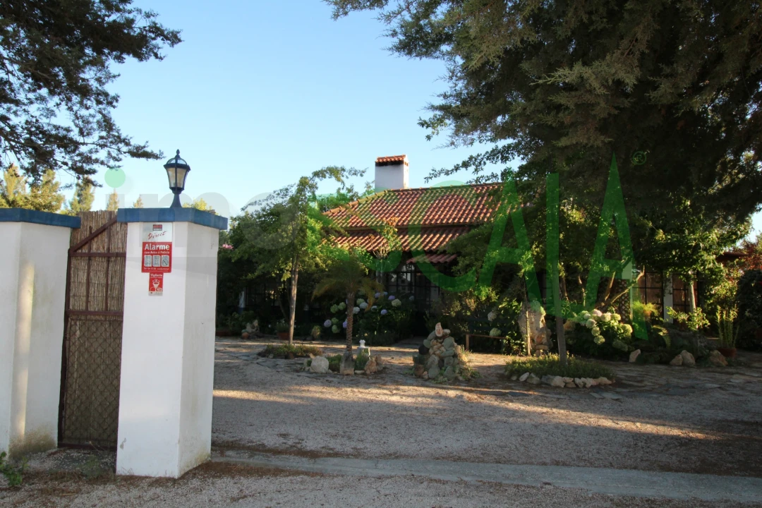 Quinta T2 para Venda em Vila Chã de Ourique Foto 133