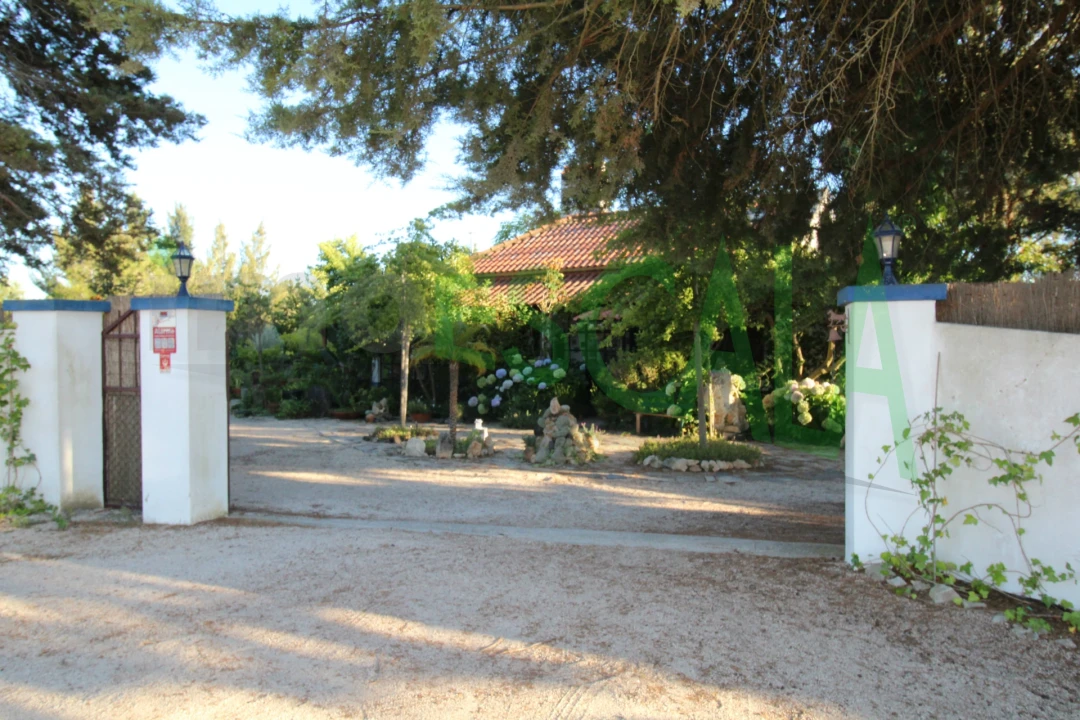 Quinta T2 para Venda em Vila Chã de Ourique Foto 126