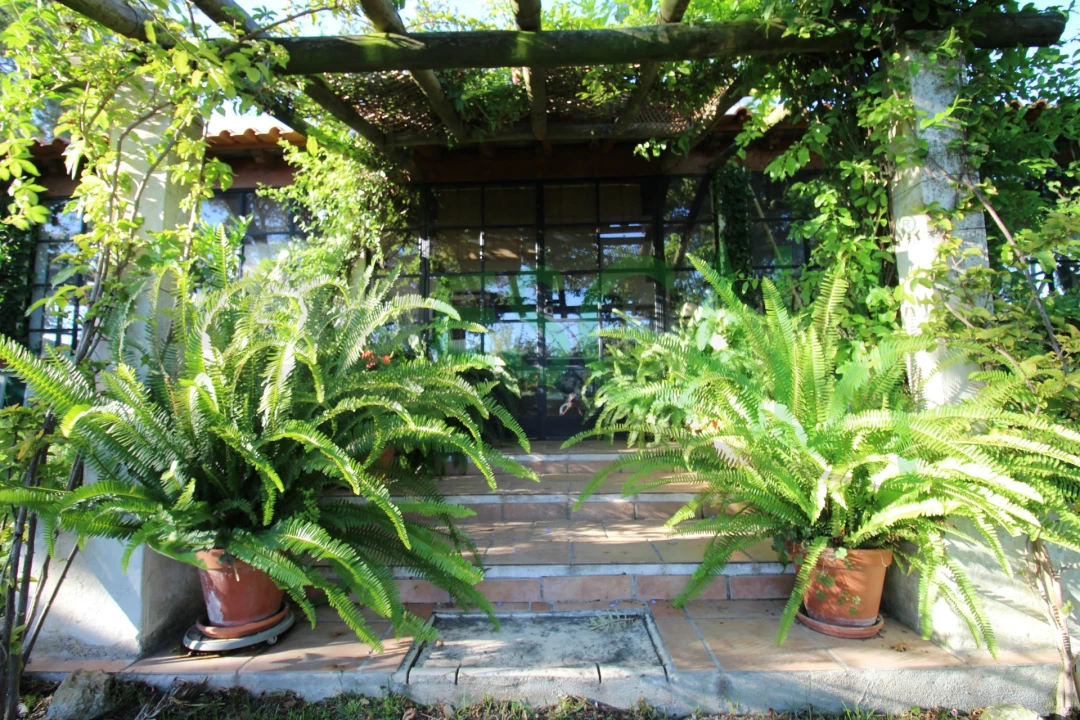 Quinta T2 para Venda em Vila Chã de Ourique Foto 28