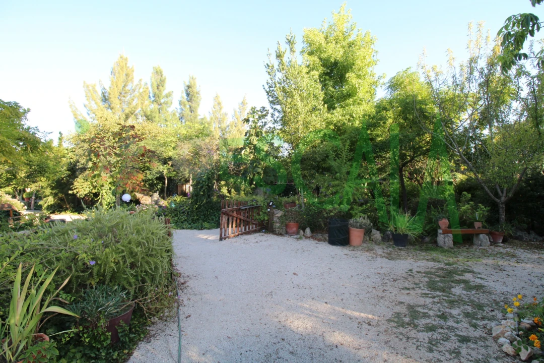 Quinta T2 para Venda em Vila Chã de Ourique Foto 15