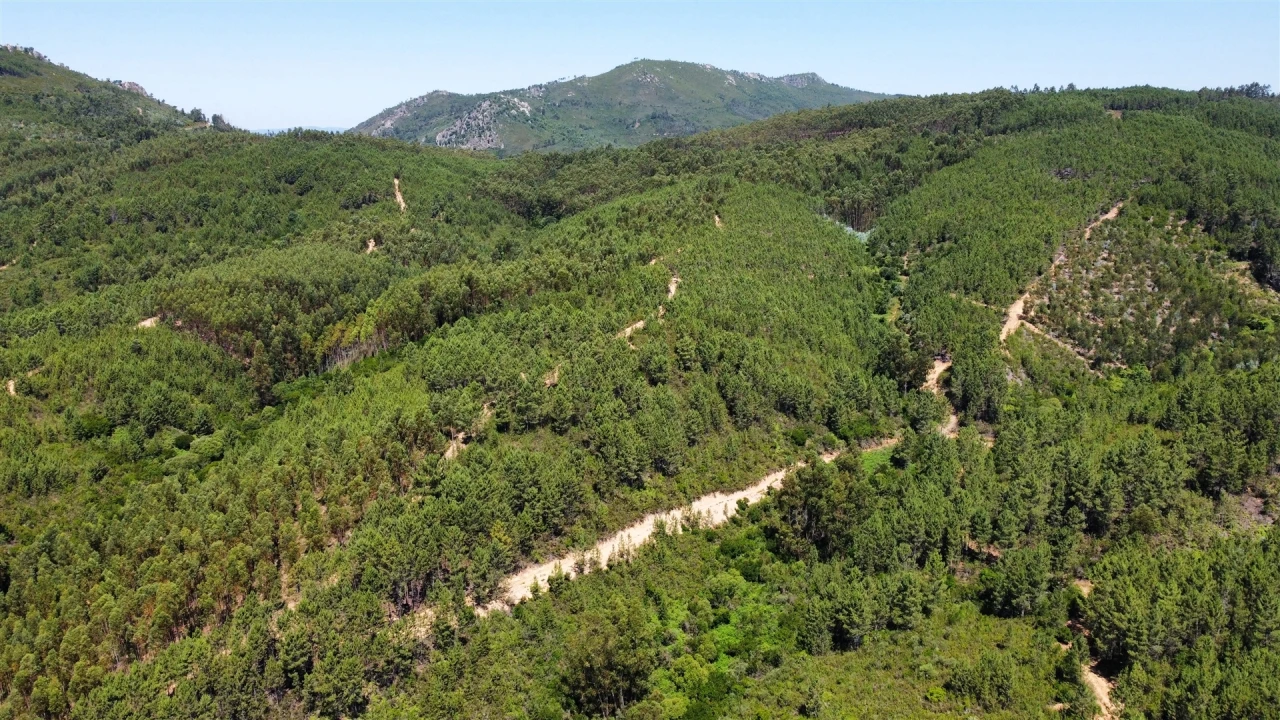 Terreno Agricola ou Rústico para Venda em Sarnadas de São Simão Foto 5