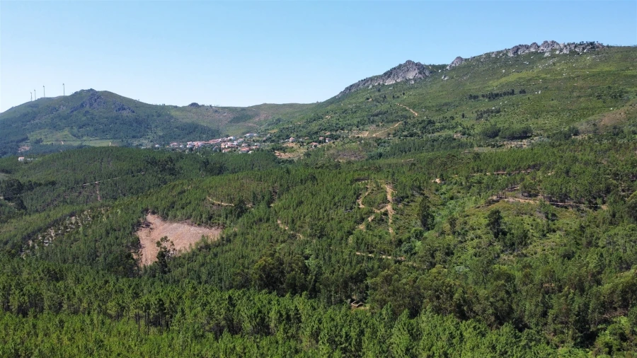 Terreno Agricola ou Rústico para Venda em Sarnadas de São Simão Foto 2