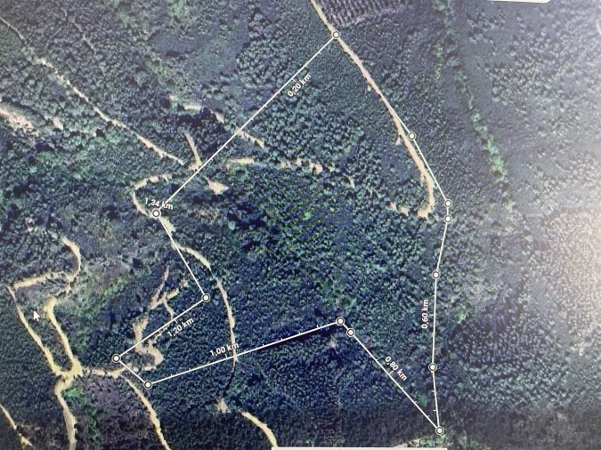 Terreno Agricola ou Rústico para Venda em Sarnadas de São Simão Foto 11