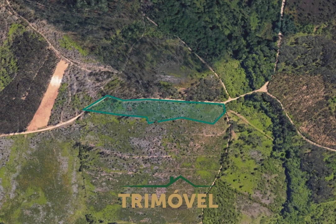 Terreno Agricola ou Rústico para Venda em Milheiros de Poiares Foto 9