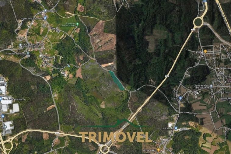 Terreno Agricola ou Rústico para Venda em Milheiros de Poiares Foto 8