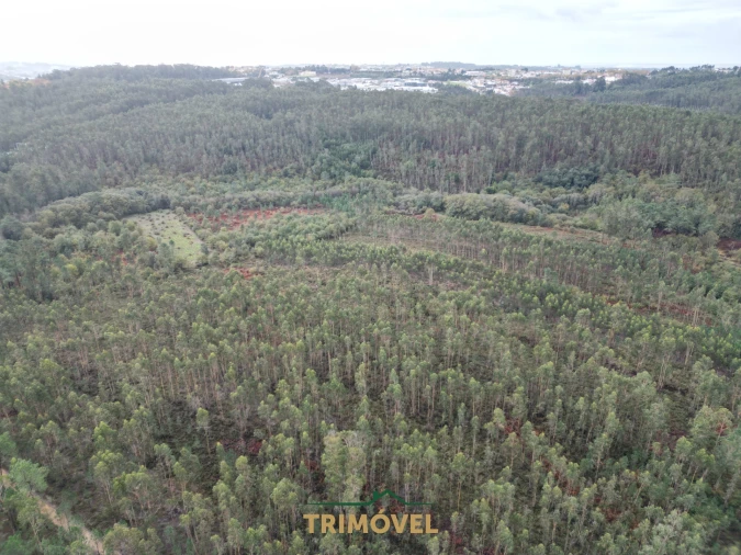 Terreno Agricola ou Rústico para Venda em Milheiros de Poiares