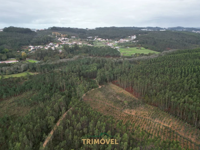 Terreno Agricola ou Rústico para Venda em Milheiros de Poiares Foto 2