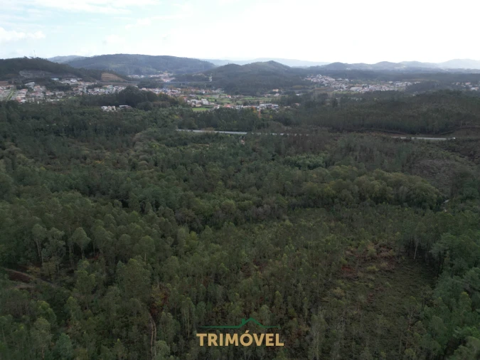 Terreno Agricola ou Rústico para Venda em Milheiros de Poiares Foto 4