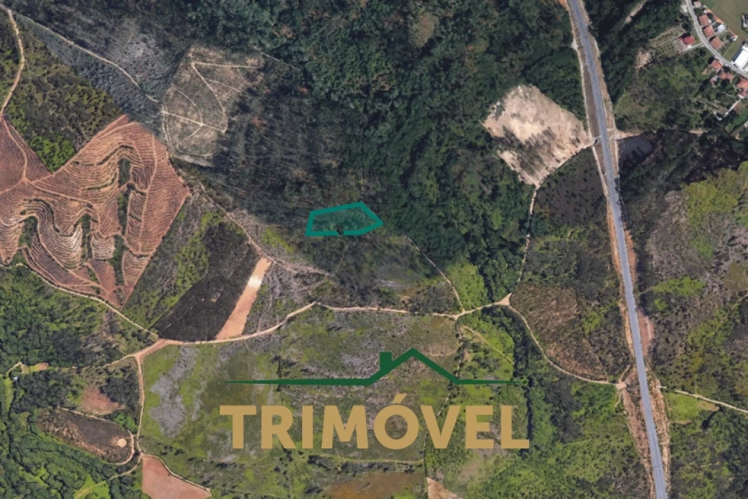 Terreno Agricola ou Rústico para Venda em Milheiros de Poiares Foto 9