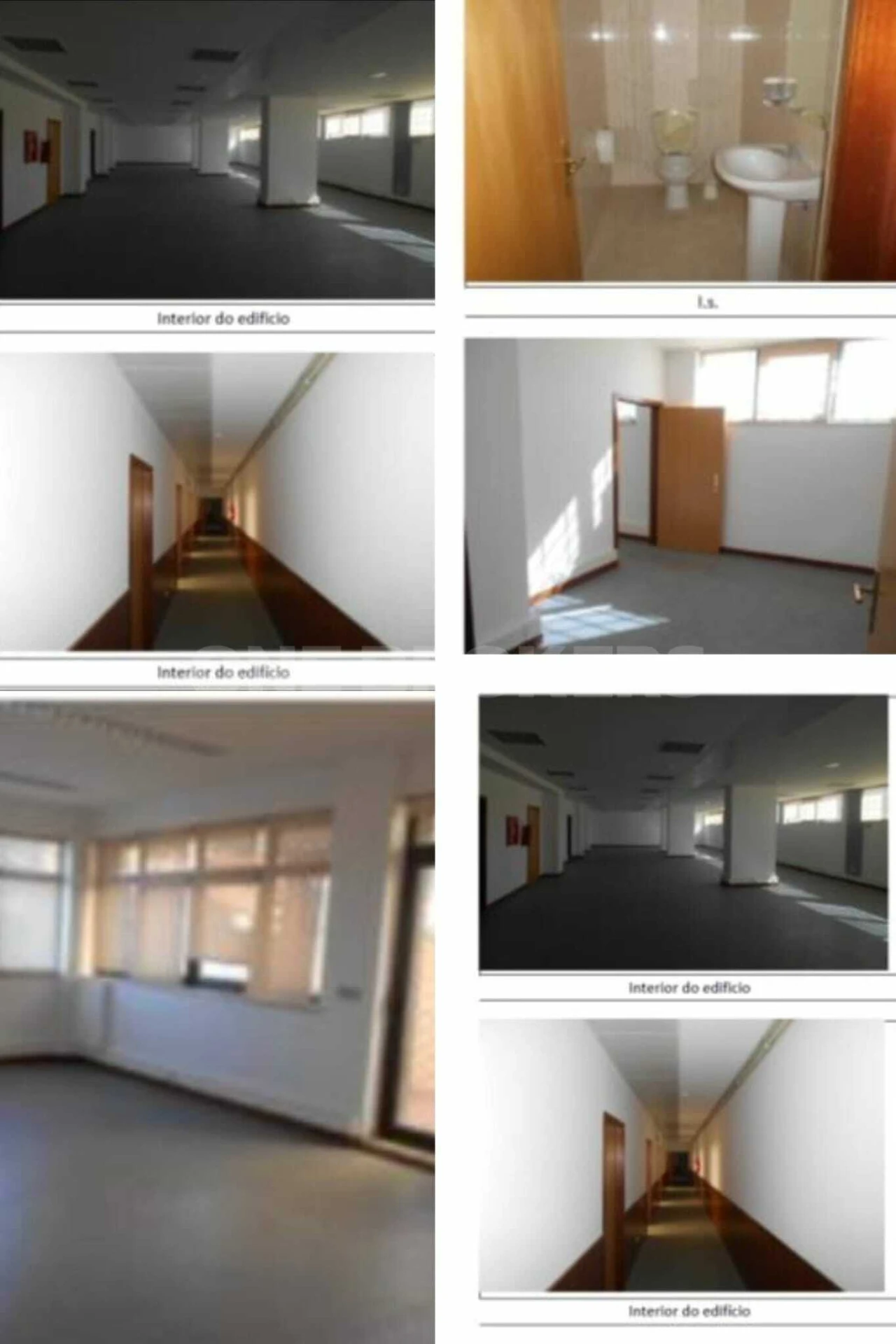 Escritório para Venda em Belém Foto 2