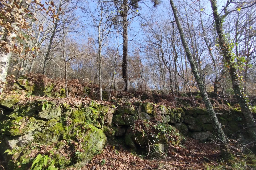 Terreno para Venda em Faíl e Vila Chã de Sá Foto 16