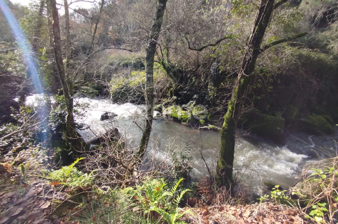 Terreno para Venda em Faíl e Vila Chã de Sá Foto 18