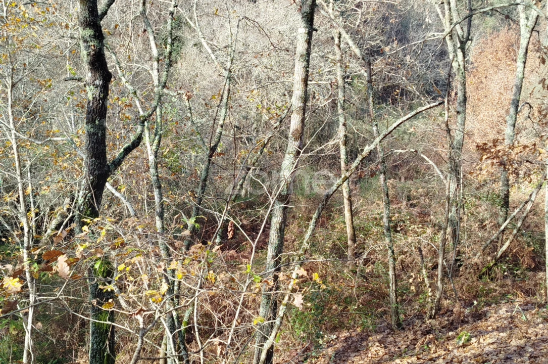 Terreno para Venda em Faíl e Vila Chã de Sá Foto 24