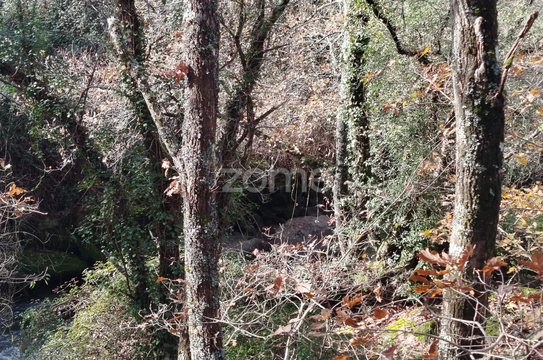 Terreno para Venda em Faíl e Vila Chã de Sá Foto 25