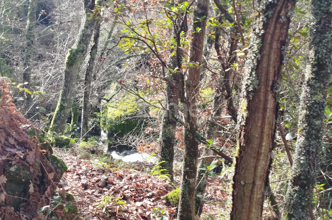 Terreno para Venda em Faíl e Vila Chã de Sá Foto 22