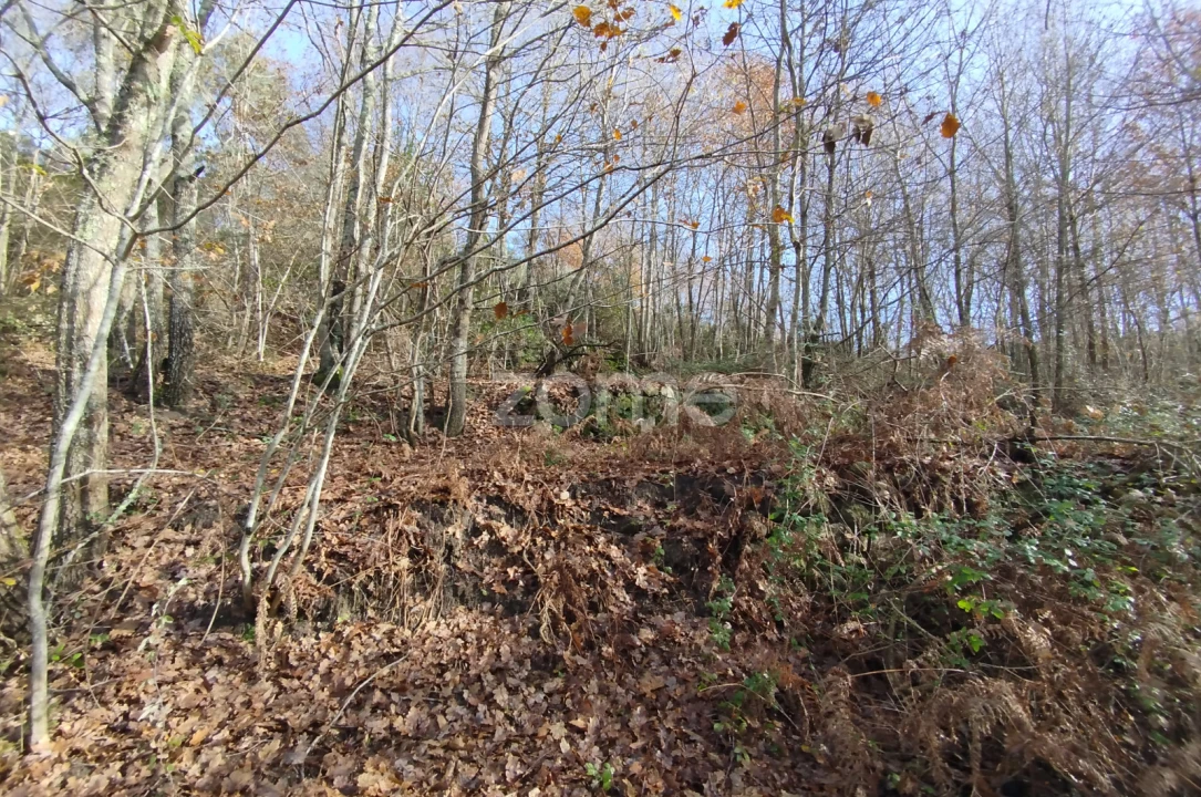 Terreno para Venda em Faíl e Vila Chã de Sá Foto 19
