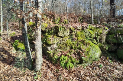 Terreno para Venda em Faíl e Vila Chã de Sá