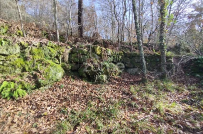 Terreno para Venda em Faíl e Vila Chã de Sá