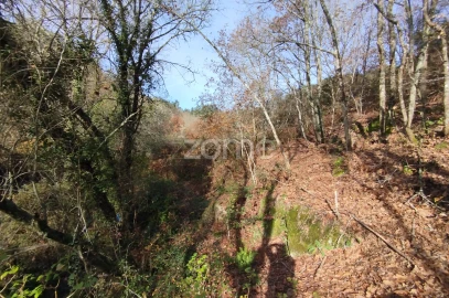 Terreno para Venda em Faíl e Vila Chã de Sá